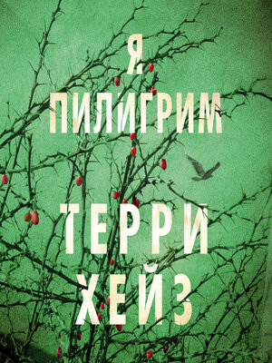 cover image of Я Пилигрим